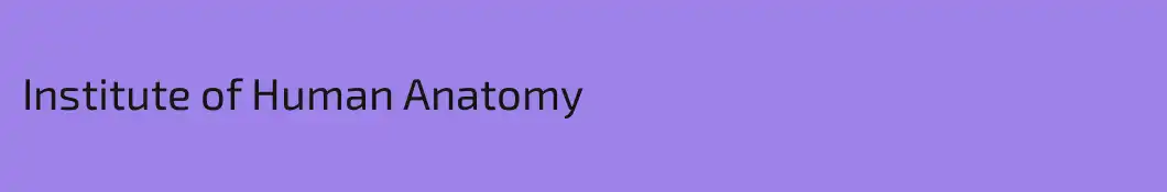 Institute of Human Anatomy